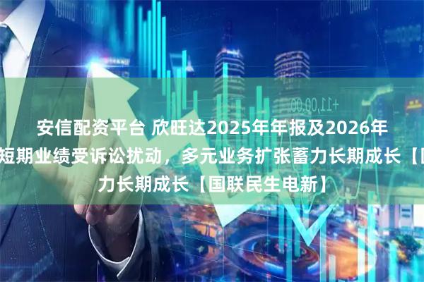 安信配资平台 欣旺达2025年年报及2026年一季报点评：短期业绩受诉讼扰动，多元业务扩张蓄力长期成长【国联民生电新】