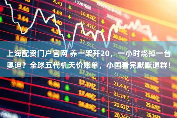上海配资门户官网 养一架歼20，一小时烧掉一台奥迪？全球五代机天价账单，小国看完默默退群！
